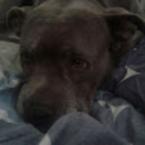 Meet your Posher, Don't.want_therona1132